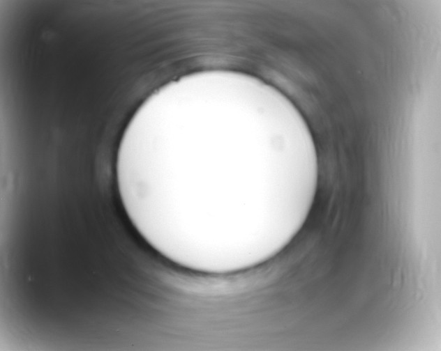 X0000088150015200706042038