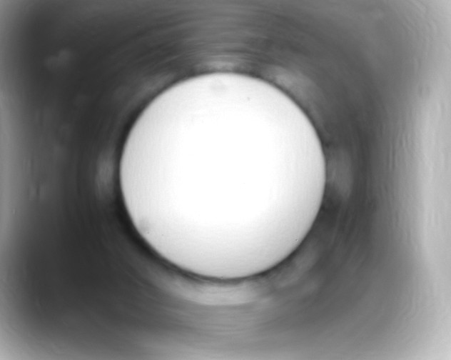 X0000088150016200706042038