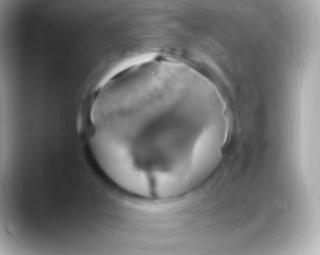 X0000088150019200706042038