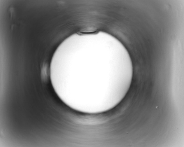 X0000088150020200706042038