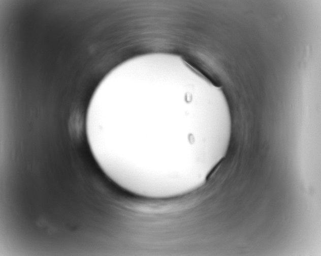 X0000088150021200706042038