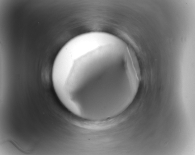 X0000088150023200706042038