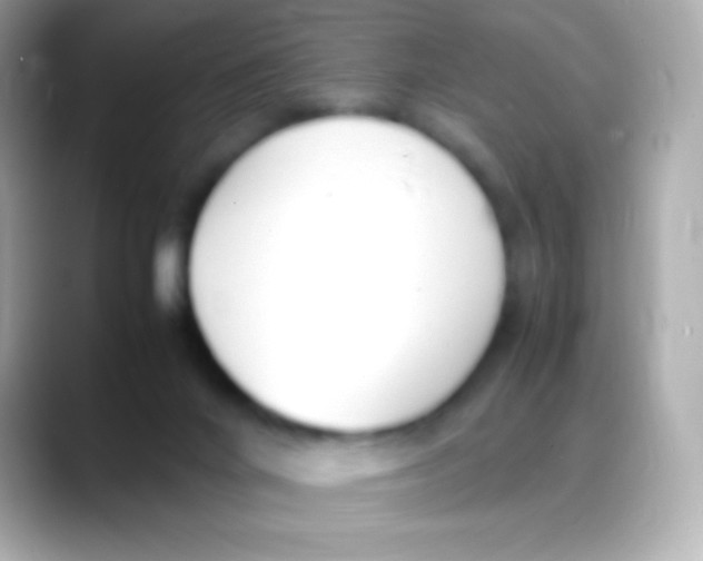 X0000088150024200706042038