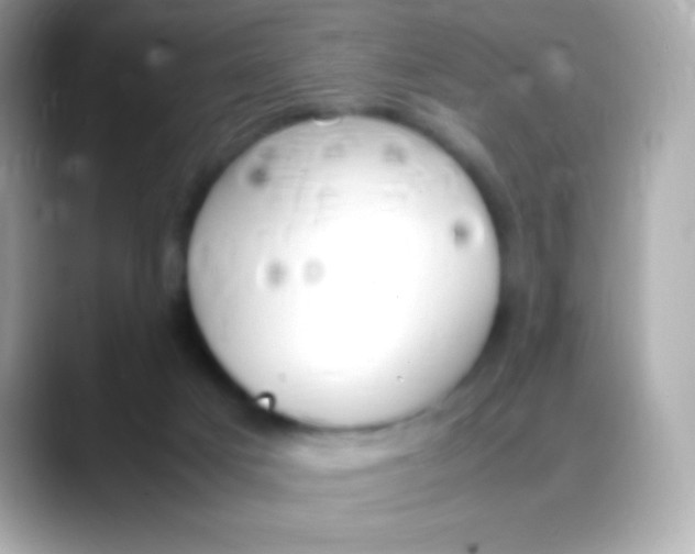 X0000088150025200706042038