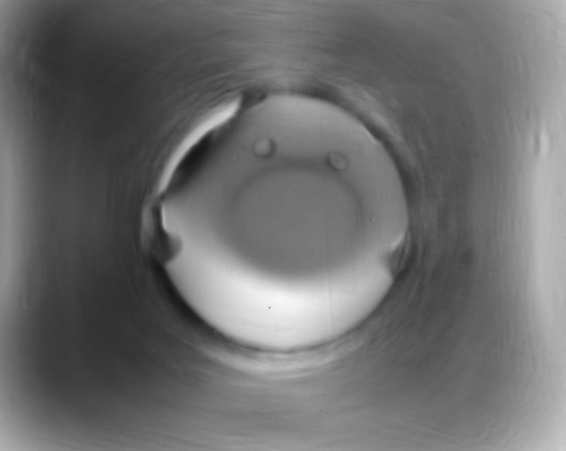 X0000088150027200706042038