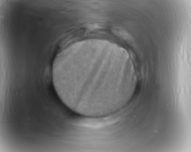 X0000088150029200706042038