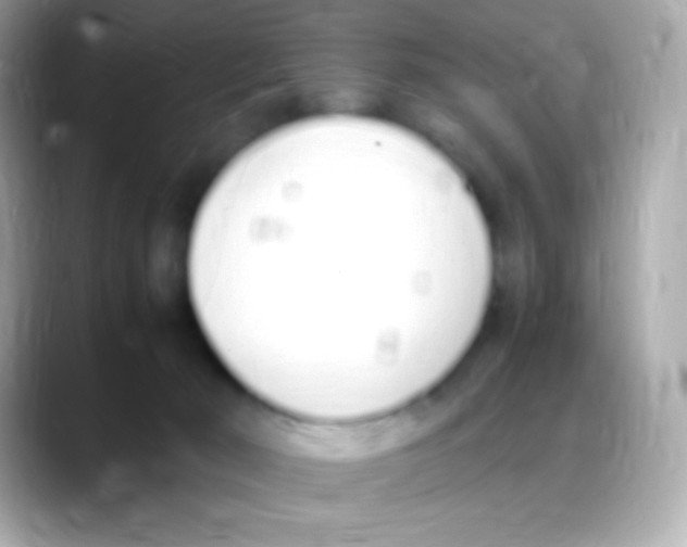 X0000088150030200706042038