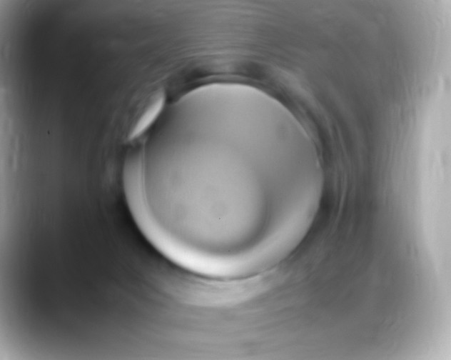 X0000088150031200706042038