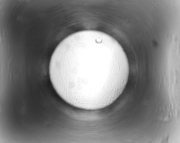 X0000088150032200706042038