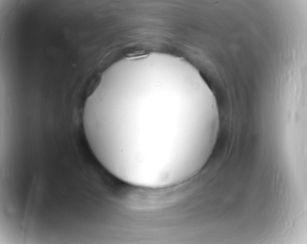 X0000088150033200706042038