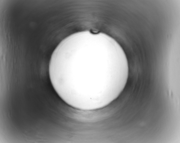 X0000088150034200706042038