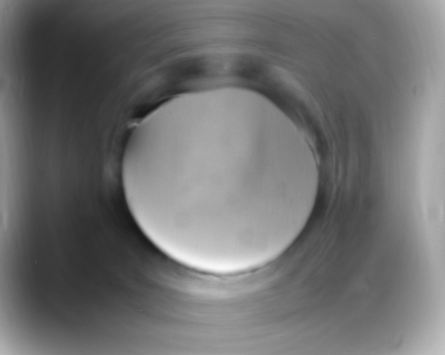 X0000088150035200706042038