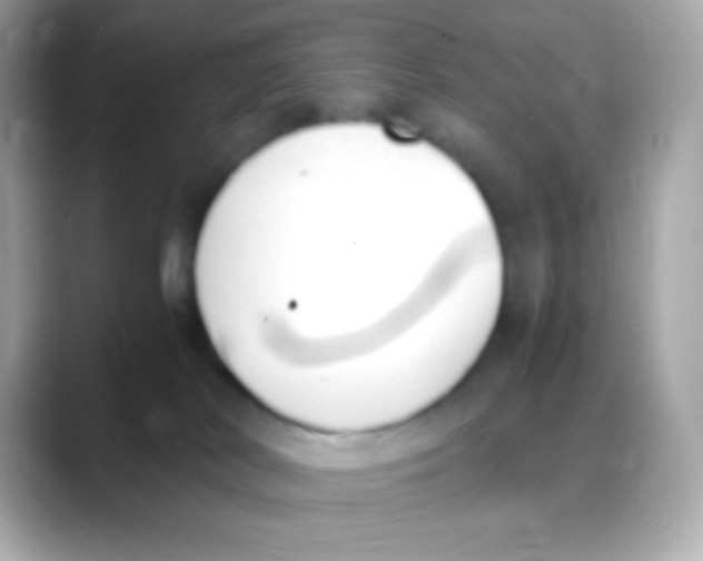 X0000088150038200706042038