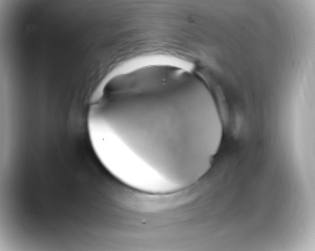 X0000088150039200706042038