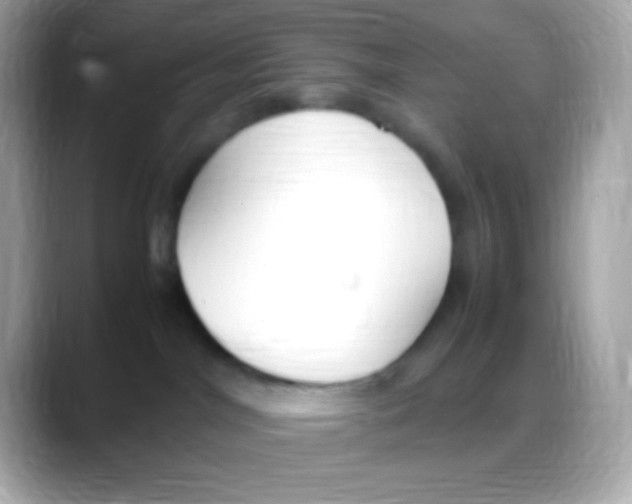 X0000088150044200706042038