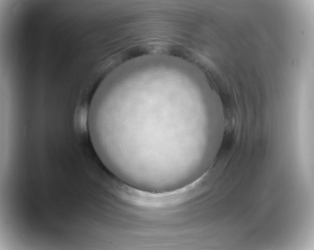 X0000088150047200706042038