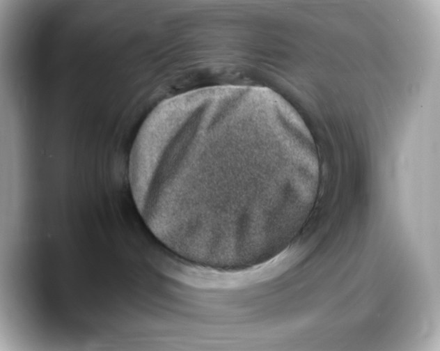 X0000088150048200706042038