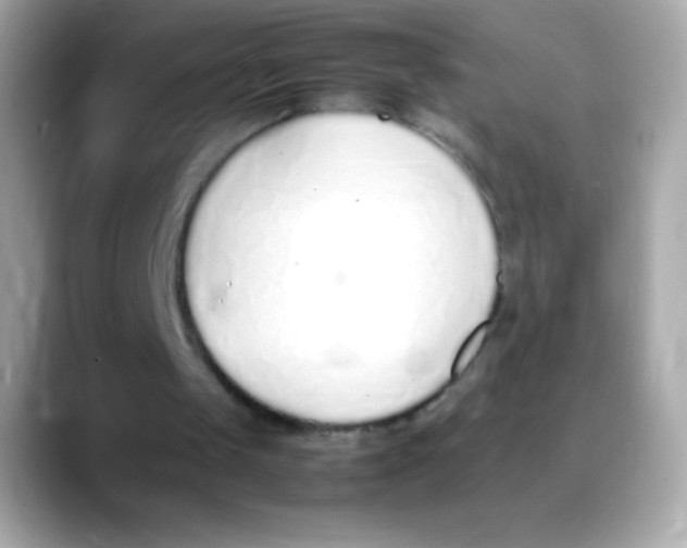 X0000088150049200706042037