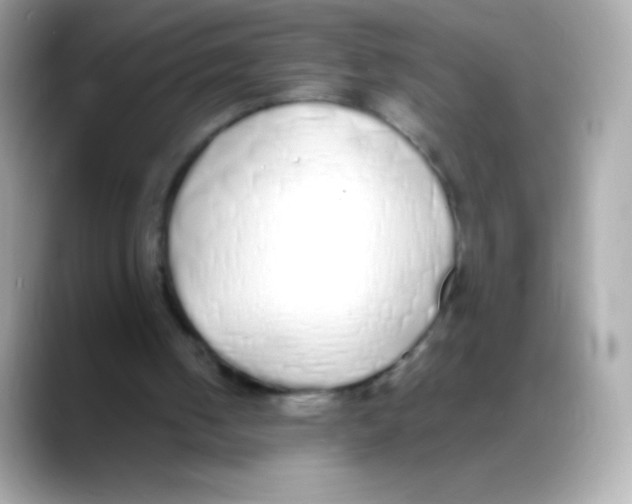 X0000088150050200706042037