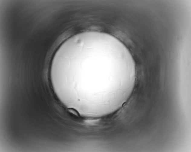 X0000088150051200706042037