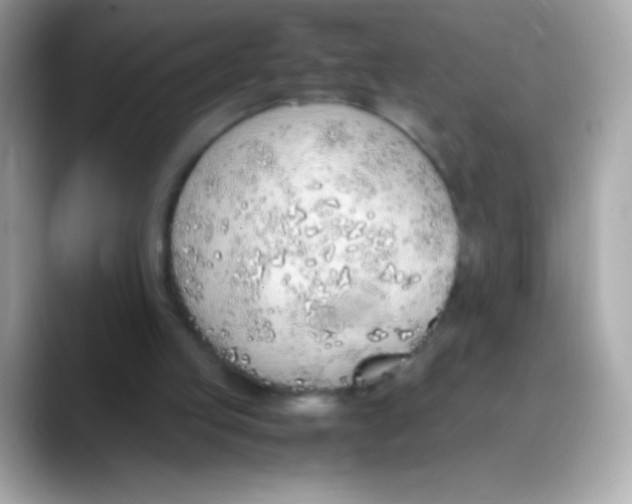 X0000088150053200706042037