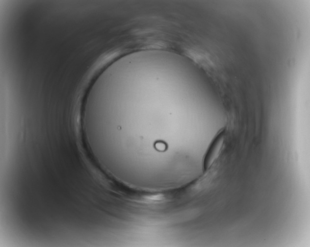 X0000088150054200706042037