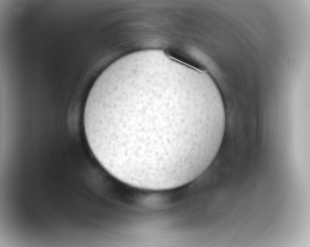 X0000088150058200706042037