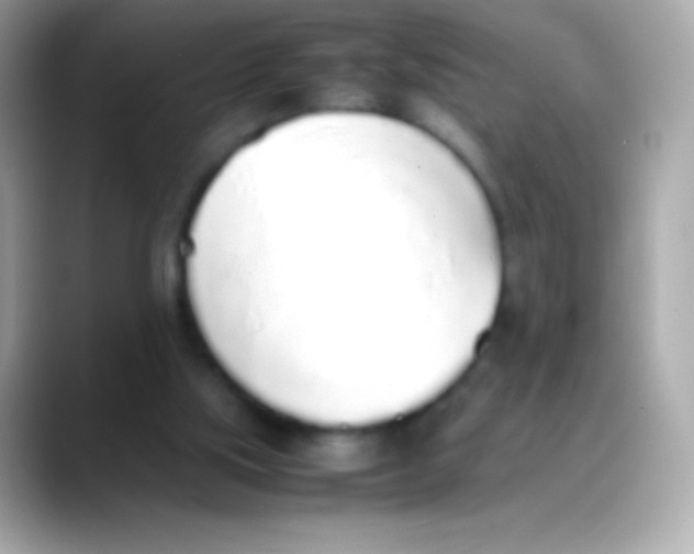 X0000088150059200706042037