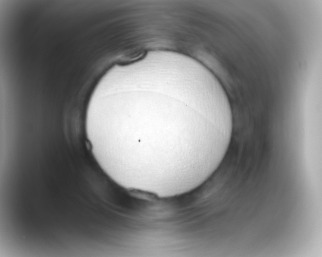 X0000088150060200706042037