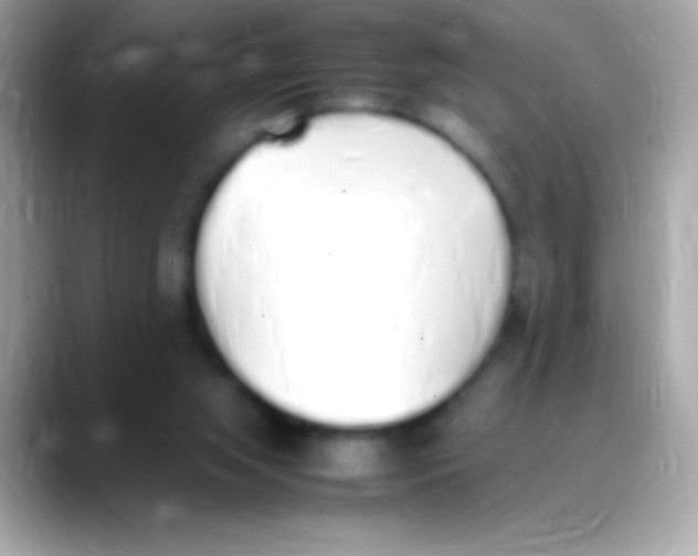 X0000088150063200706042037