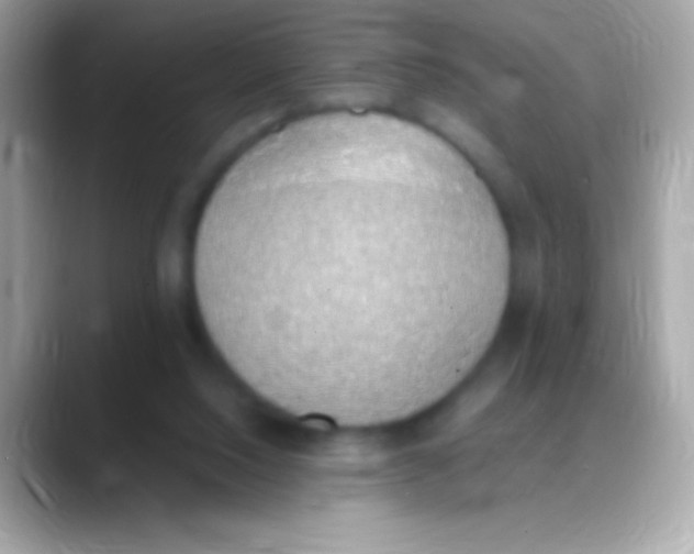 X0000088150064200706042037