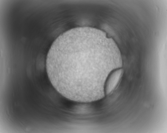 X0000088150065200706042037