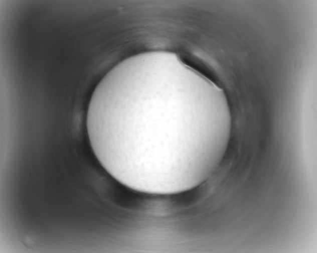 X0000088150066200706042037