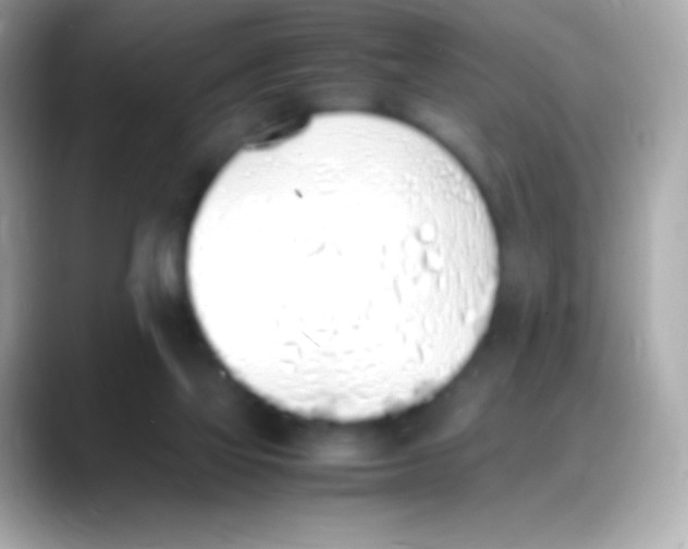 X0000088150069200706042037