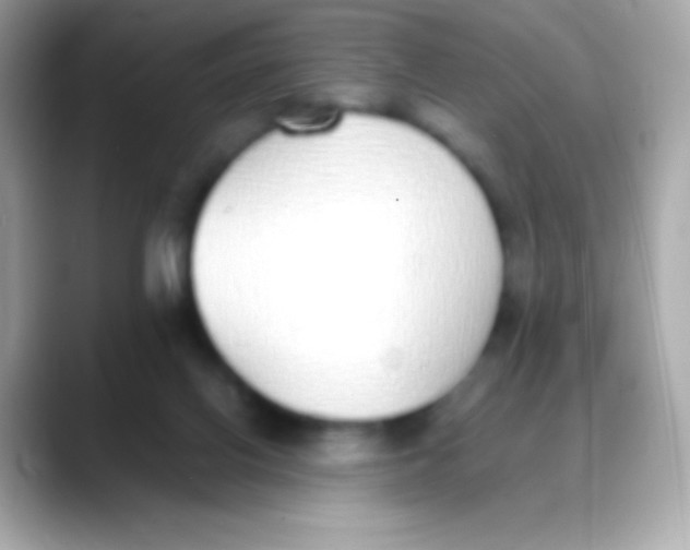 X0000088150070200706042037