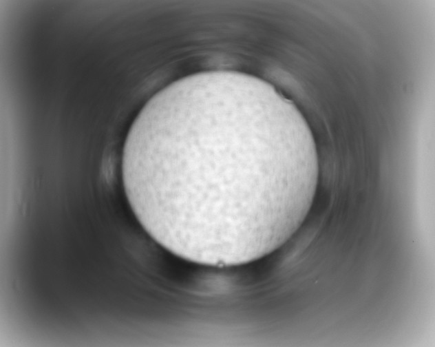 X0000088150071200706042037