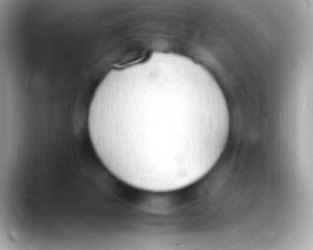 X0000088150073200706042037