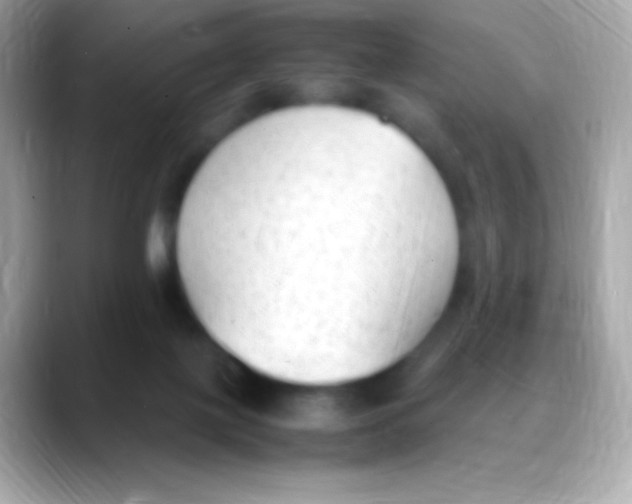 X0000088150075200706042037