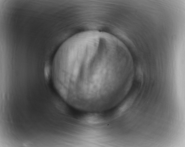 X0000088150076200706042037