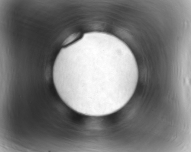 X0000088150077200706042037