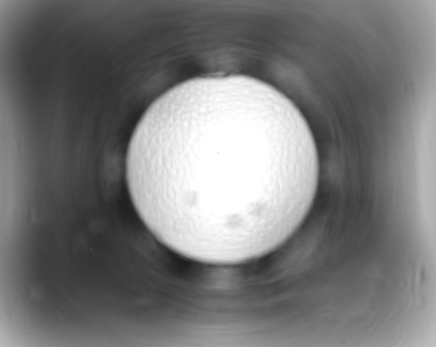 X0000088150081200706042037