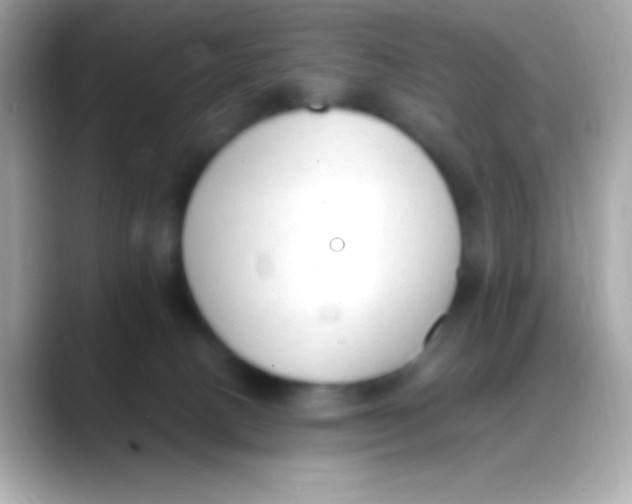 X0000088150082200706042037