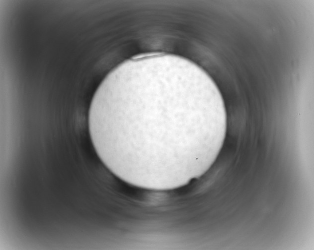 X0000088150085200706042037