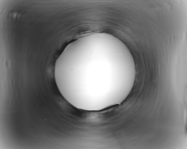 X0000088150096200706042038