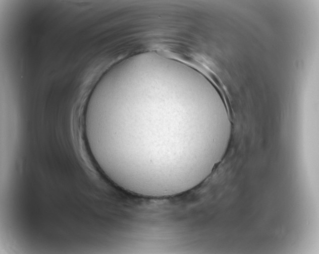 X0000088150097200706042037