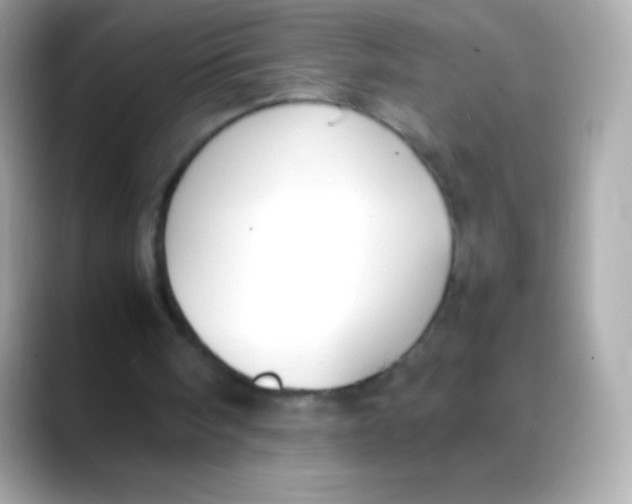 X0000088150098200706042037