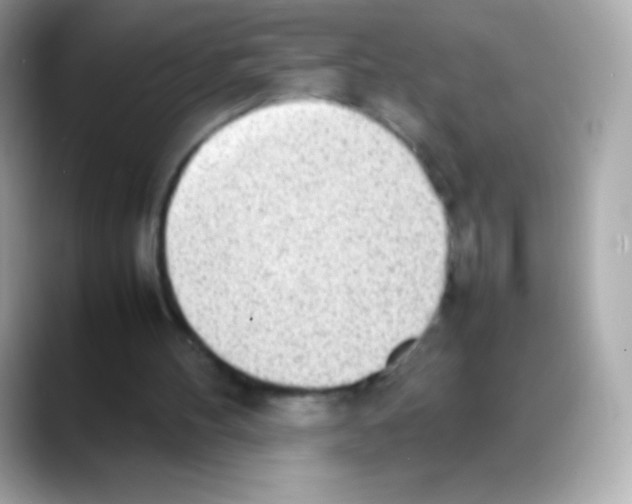 X0000088150100200706042037