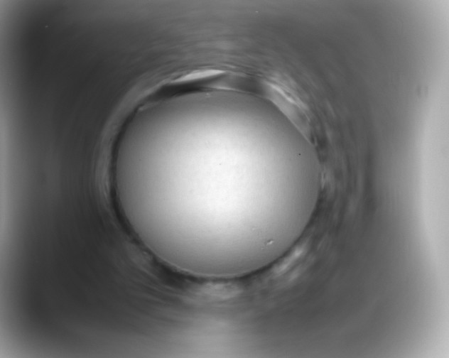 X0000088150101200706042037