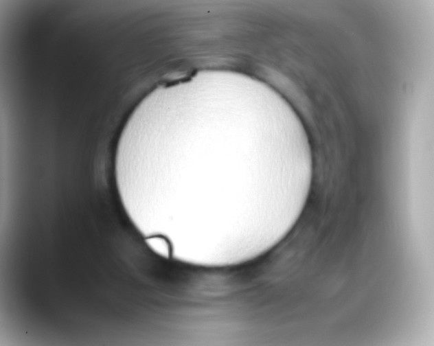 X0000088150107200706042037