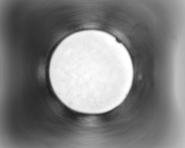 X0000088150108200706042037